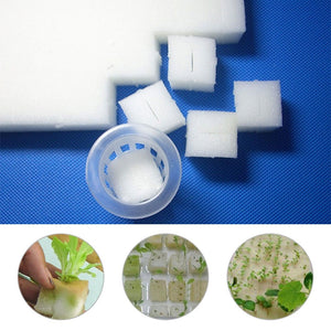 100pcs Transplanted Sponge Soilless Hydroponic Vegetable Cultivation System Gardening Tools Soilless Planting Seedlings