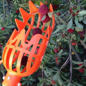 Fruit Picker Tool Picking Tool Fruit Cathcer Quicker Gardening Farm Catcher Outside Device Garden Hardware